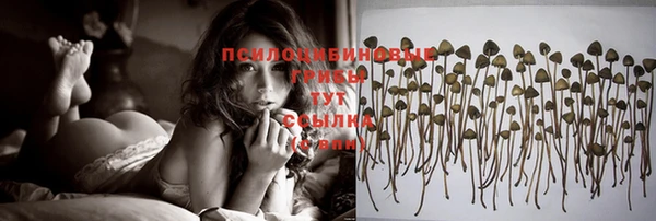 дмт Абинск