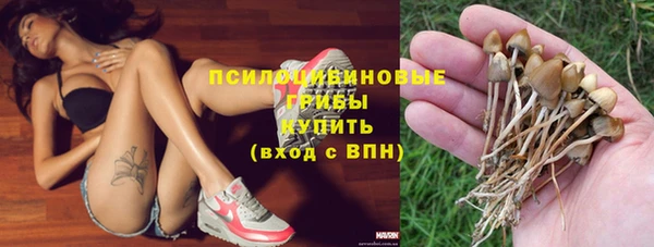 дмт Абинск
